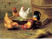unknow artist Cocks 134 Germany oil painting artist
